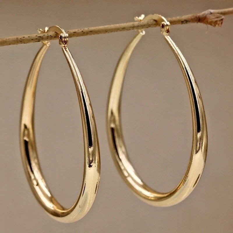 Y2K Classic Hoop Earrings