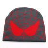 Spiderman Y2K Beanie