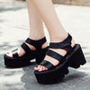 Vintage Black Platform Sandals